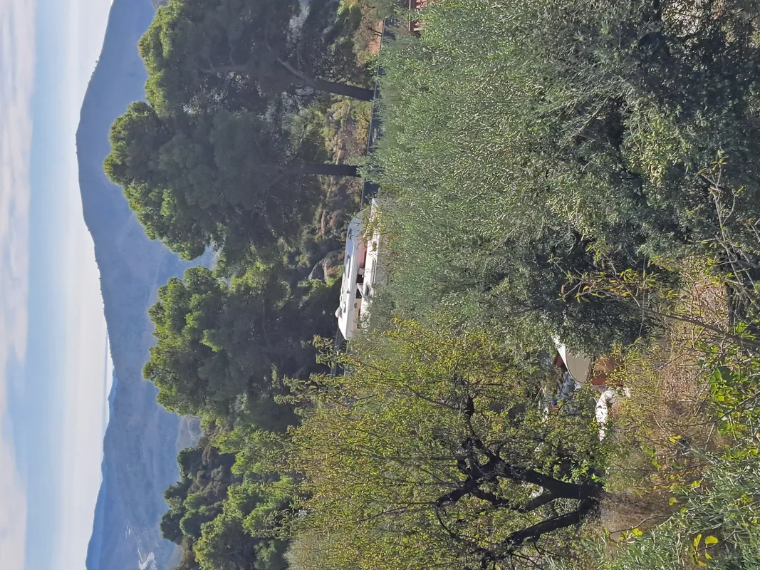 Tropical Family Farm Caravan & Motorhome campsite — photo 2