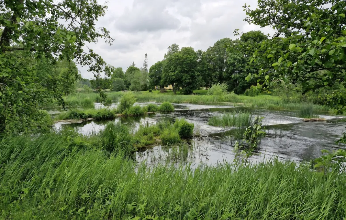 Forelli camping site