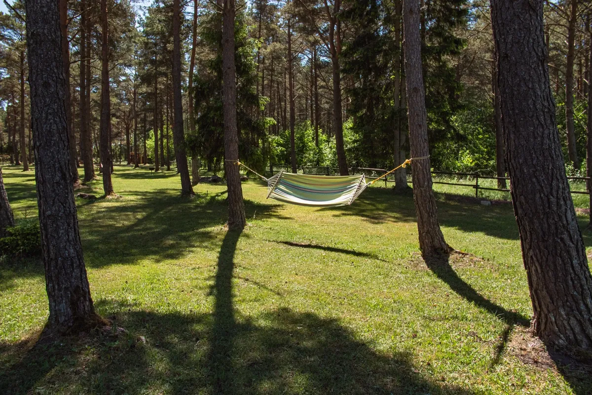 Tehumardi Camping — photo 13