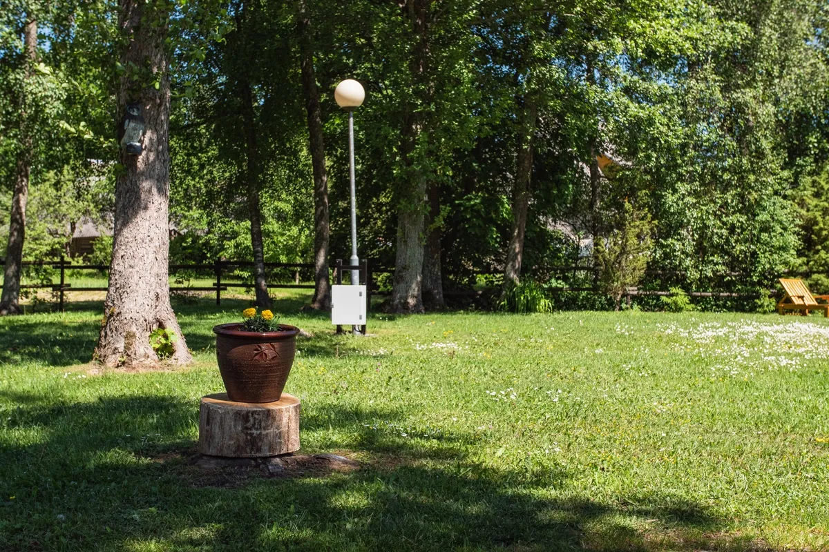 Tehumardi Camping — photo 16
